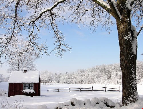 Winter: a wonderland or headache?