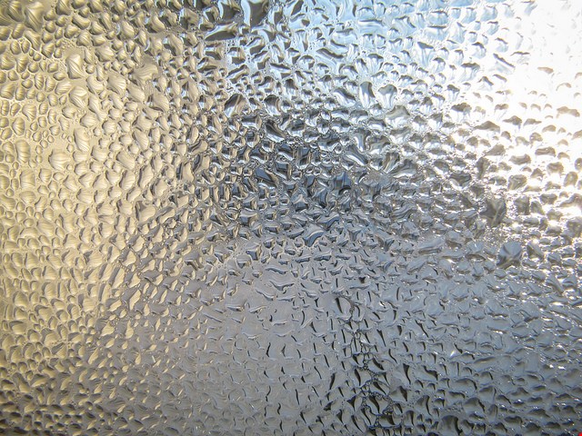 Critical Equipment for Preventing Moisture When School’s Out of Session
