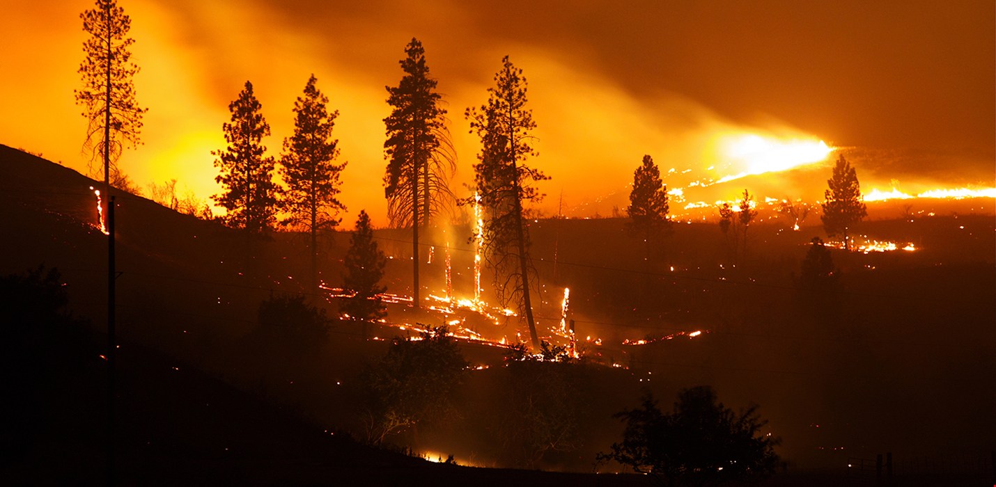 Protecting Your Home From Wildfires