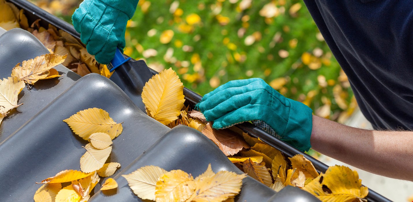 Gutters instrumental in deterring water and mold damage